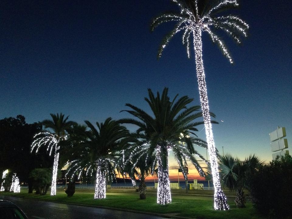 Nice Palmiers en fête pour Noël Promenade des Anglais